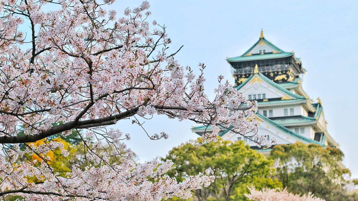 an overlooking view of a palace with plenty o f cherry blossoms