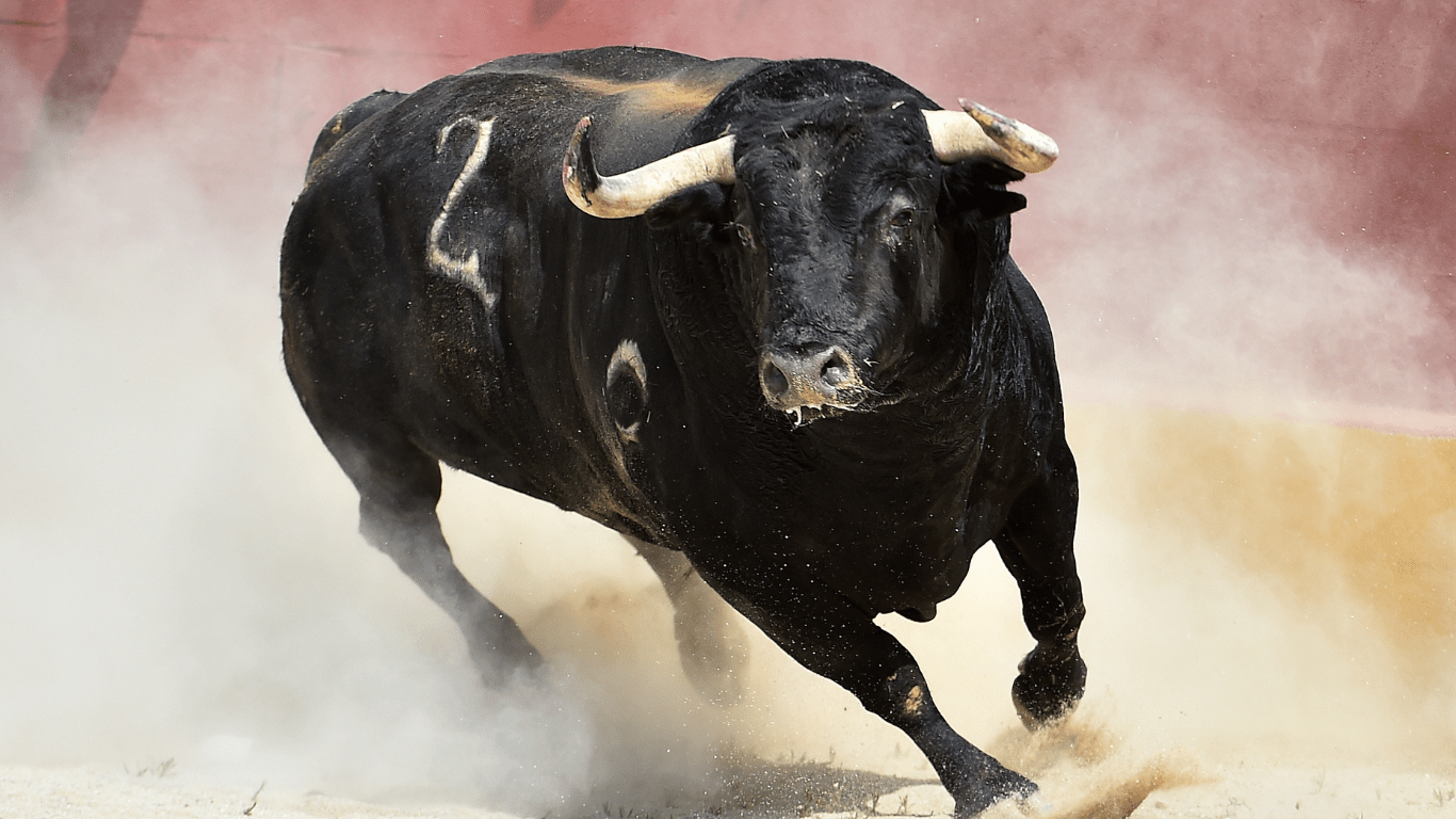 a running black bull