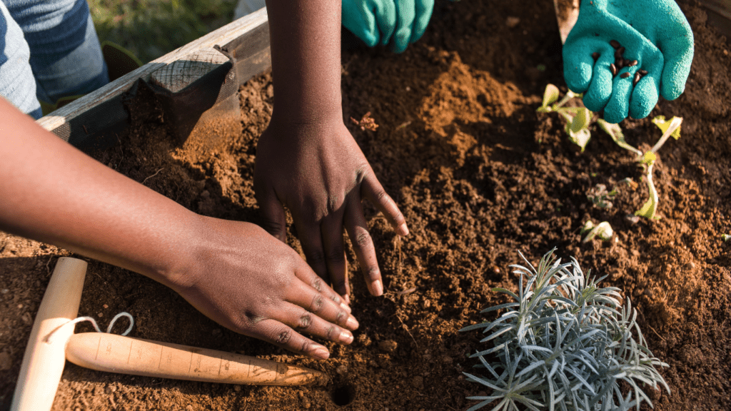 two people planting a plant for sustainability