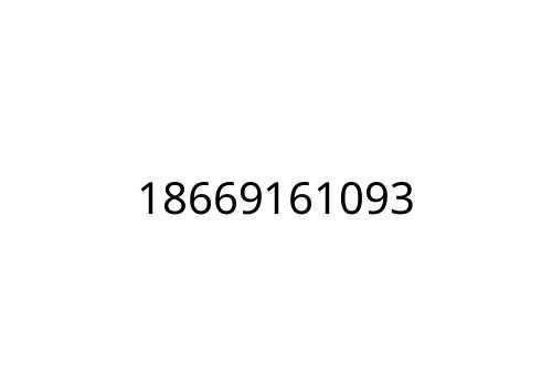 18669161093
