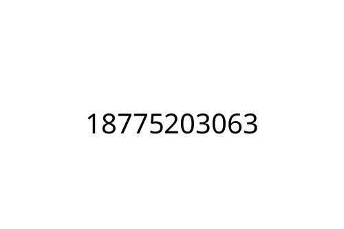 18775203063