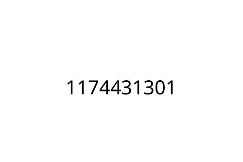 1174431301