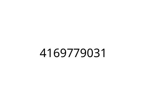 4169779031