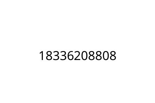 18336208808