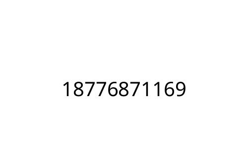 18776871169