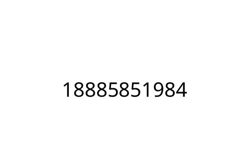 18885851984