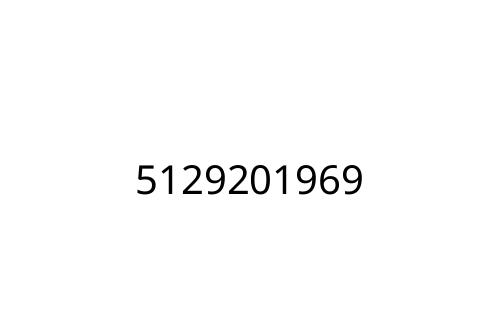 5129201969