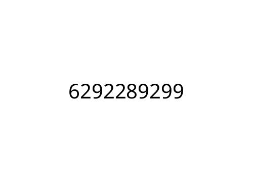 6292289299