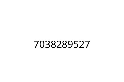 7038289527