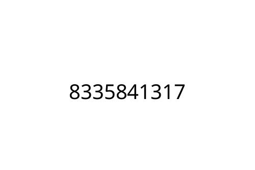 8335841317