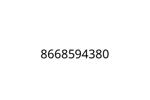 8668594380