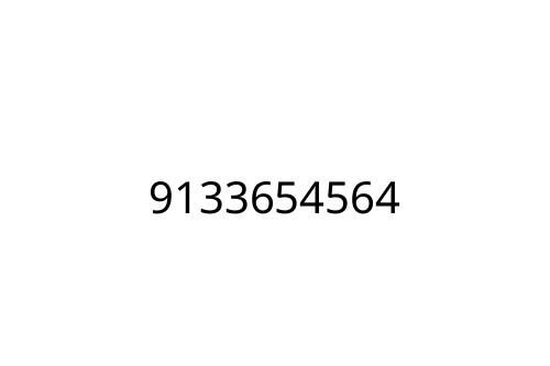 9133654564