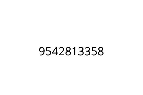 9542813358