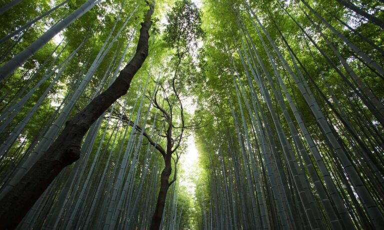 banginpocahontasgmail