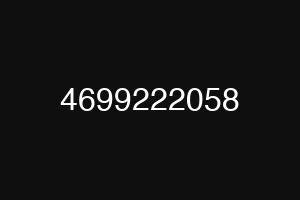 4699222058
