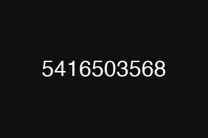 5416503568