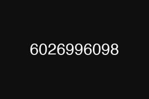 6026996098
