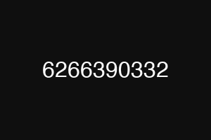 6266390332