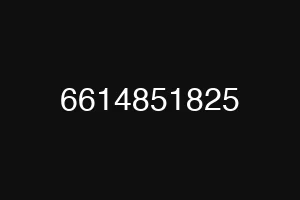 6614851825