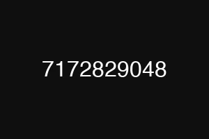 7172829048
