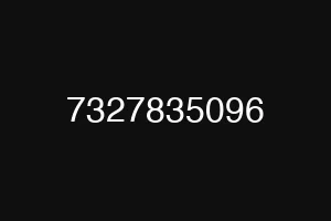 7327835096