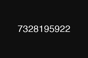 7328195922
