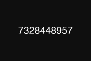 7328448957