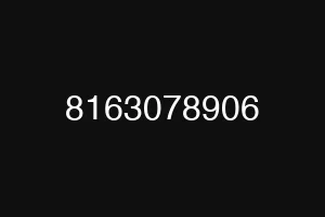 8163078906