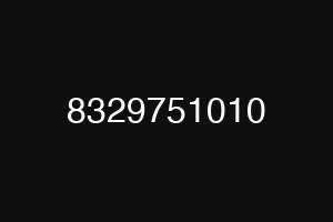 8329751010