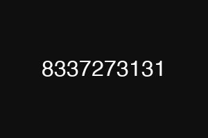 8337273131