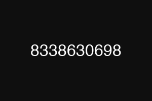 8338630698