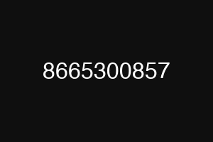 8665300857