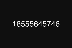 18555645746