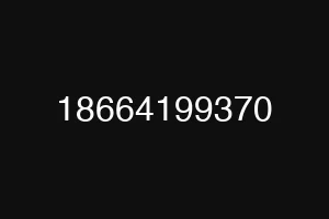 18664199370