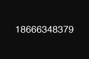 18666348379