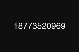 18773520969