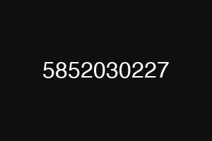 5852030227