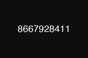 8667928411