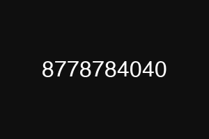 8778784040