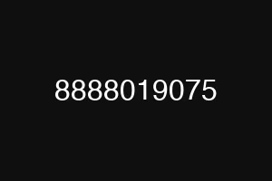 8888019075