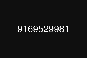9169529981