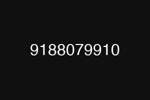 9188079910